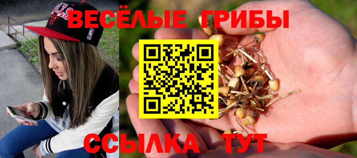 Галлюциногенные грибы GOLDEN TEACHER Черемхово