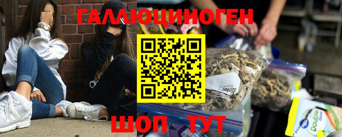 Черемхово  Галлюциногенные грибы MAGIC MUSHROOMS  Вход с VPN 